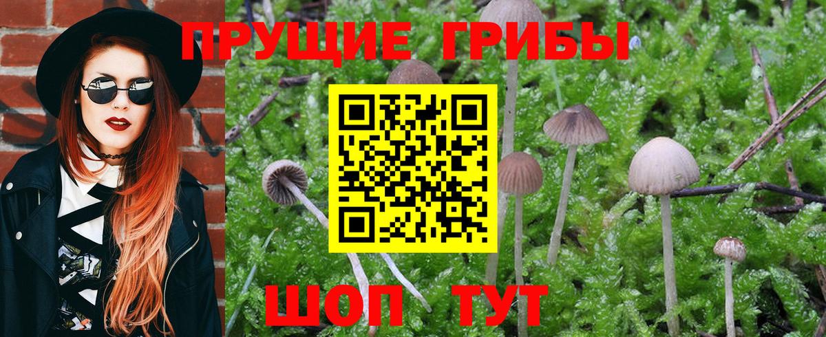 Псилоцибиновые грибы MAGIC MUSHROOMS Кунгур