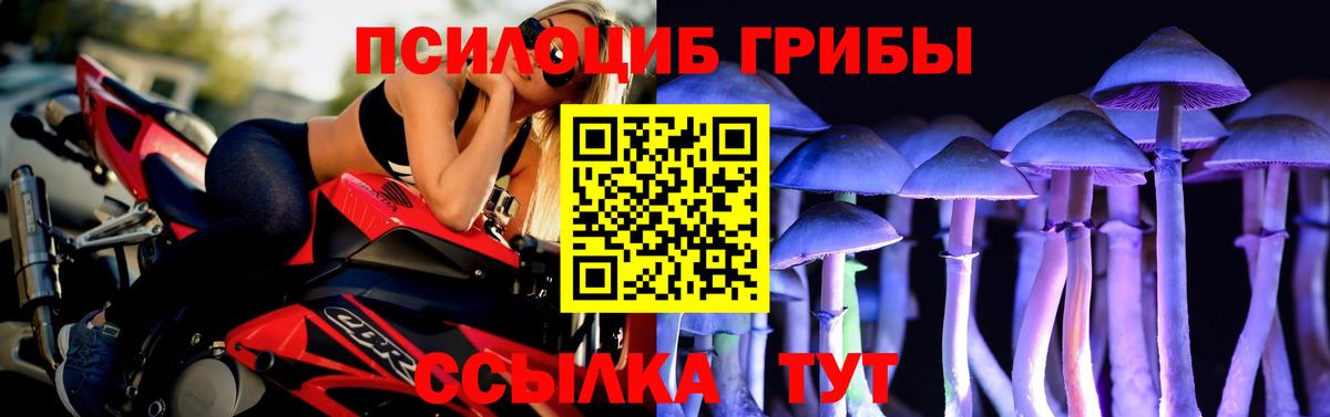 Псилоцибиновые грибы ЛСД  Галлюциногенные грибы Psilocybe  Вход с VPN  Кунгур 